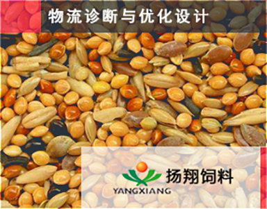 【贵港扬翔】饲料工厂优化：工厂诊断+布局优化+物流优化